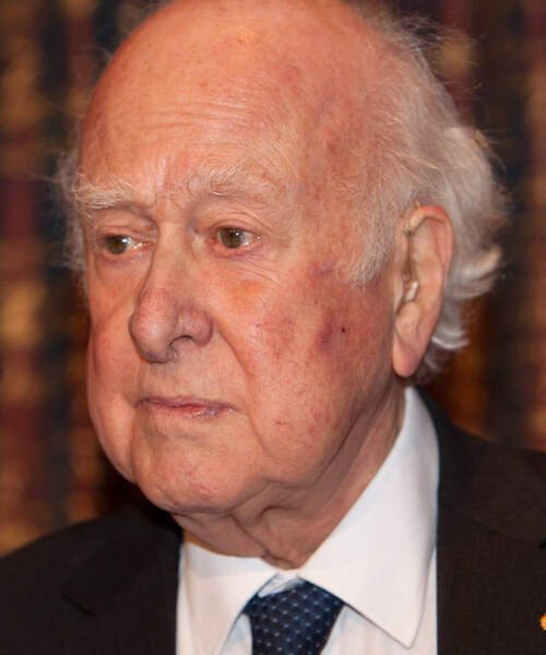 Peter Higgs at the Nobel Prize press conference, December 2013. Photograph by Bengt Nyman. CC-BY 2.0 via Wikimedia Commons.